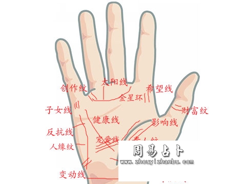 手掌纹路图解大全