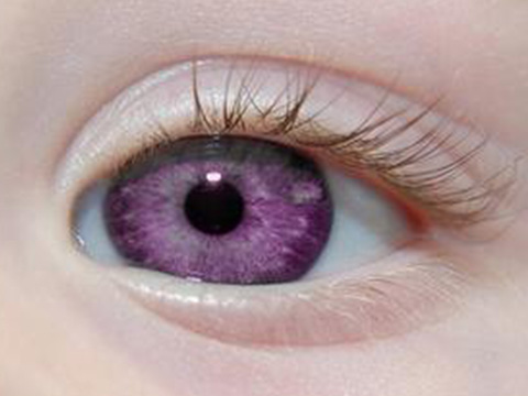伊丽莎白泰勒紫色眼睛图片